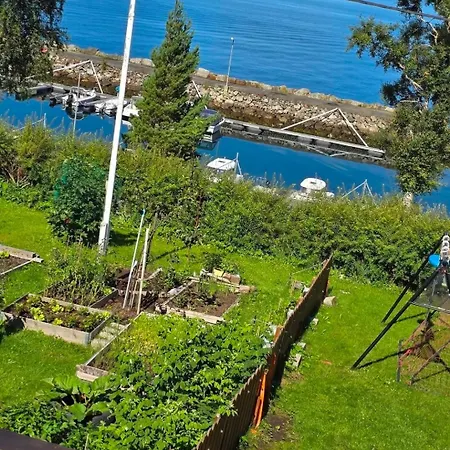 With A View Of The Fjord